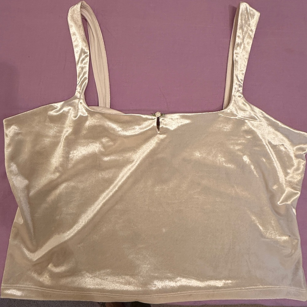 Wild‎ Fable Womens Ivory Velvet Sleeveless Crop Top Rose Detail XL